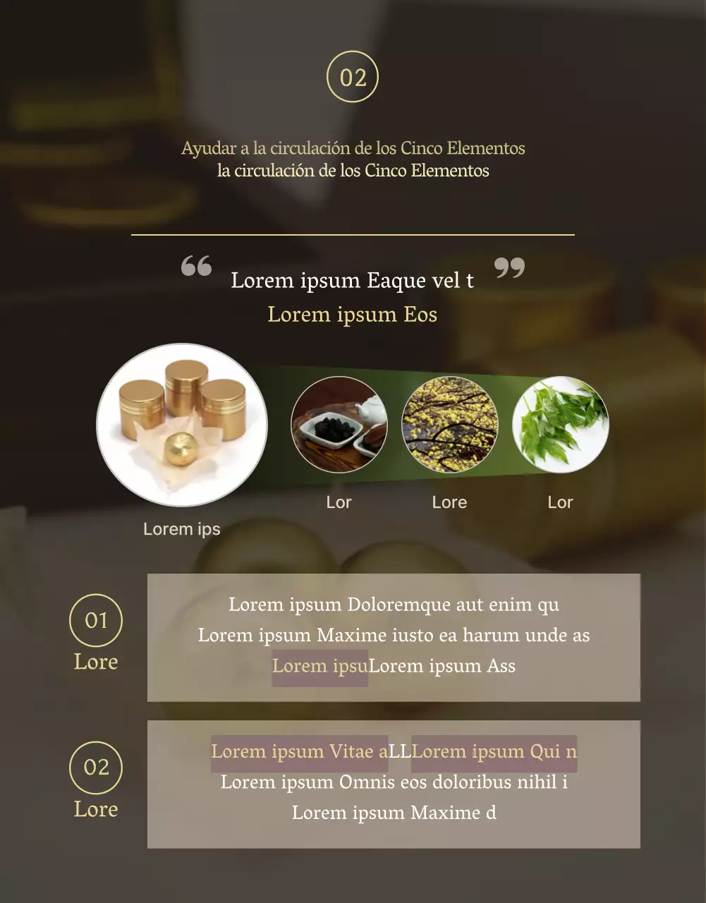 Guía de regalos de fitoterapia tradicional china para el Día de la Madre en negro y oro