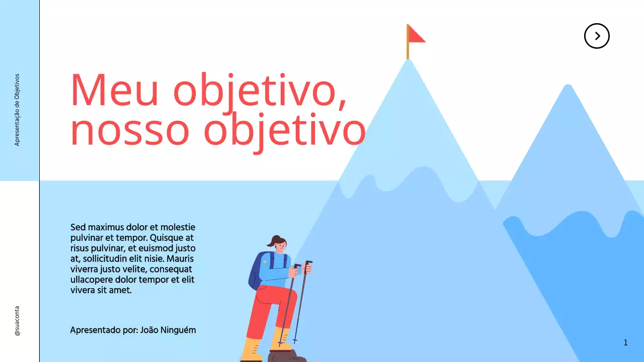 Apresentação dos objectivos simples da Sky Blue para a estratégia empresarial
