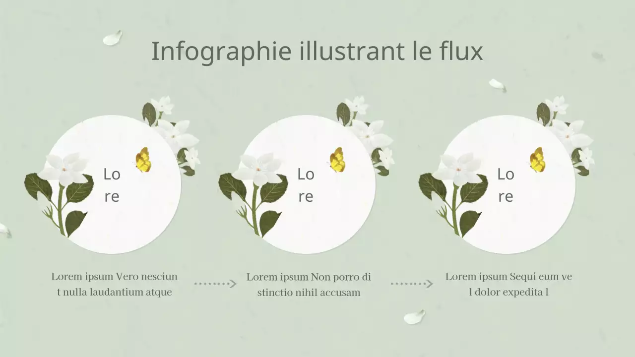 Plan de fleurs blanches orientales pour les plantes annuelles