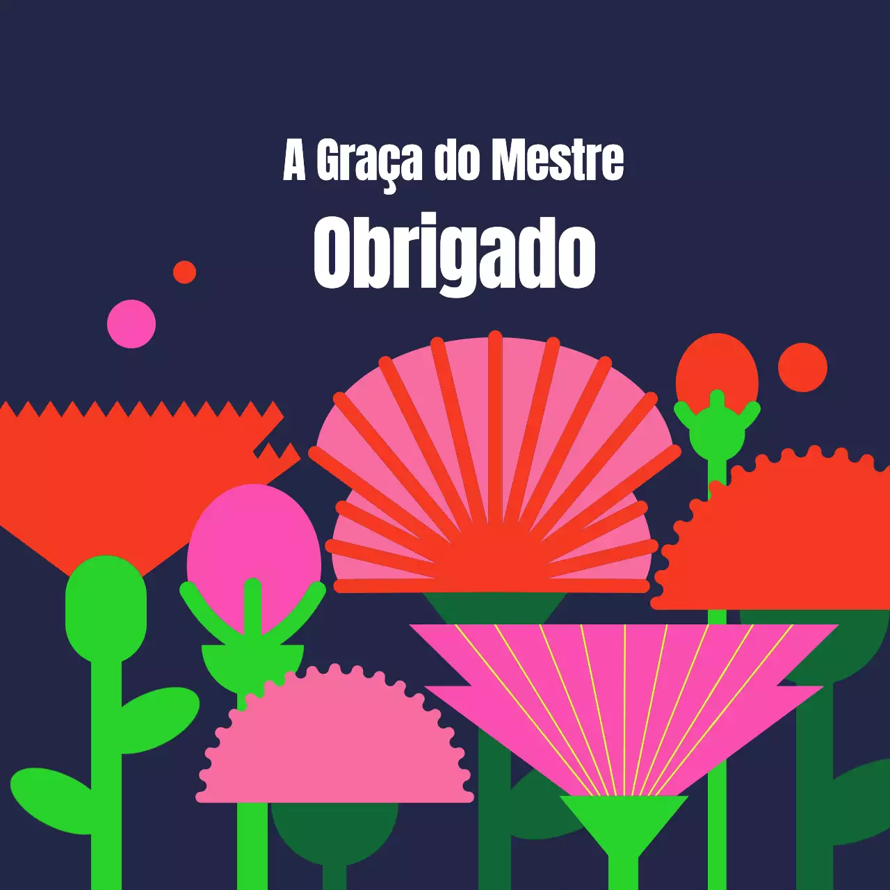 Um campo de cravos do Dia do Professor sobre um fundo escuro