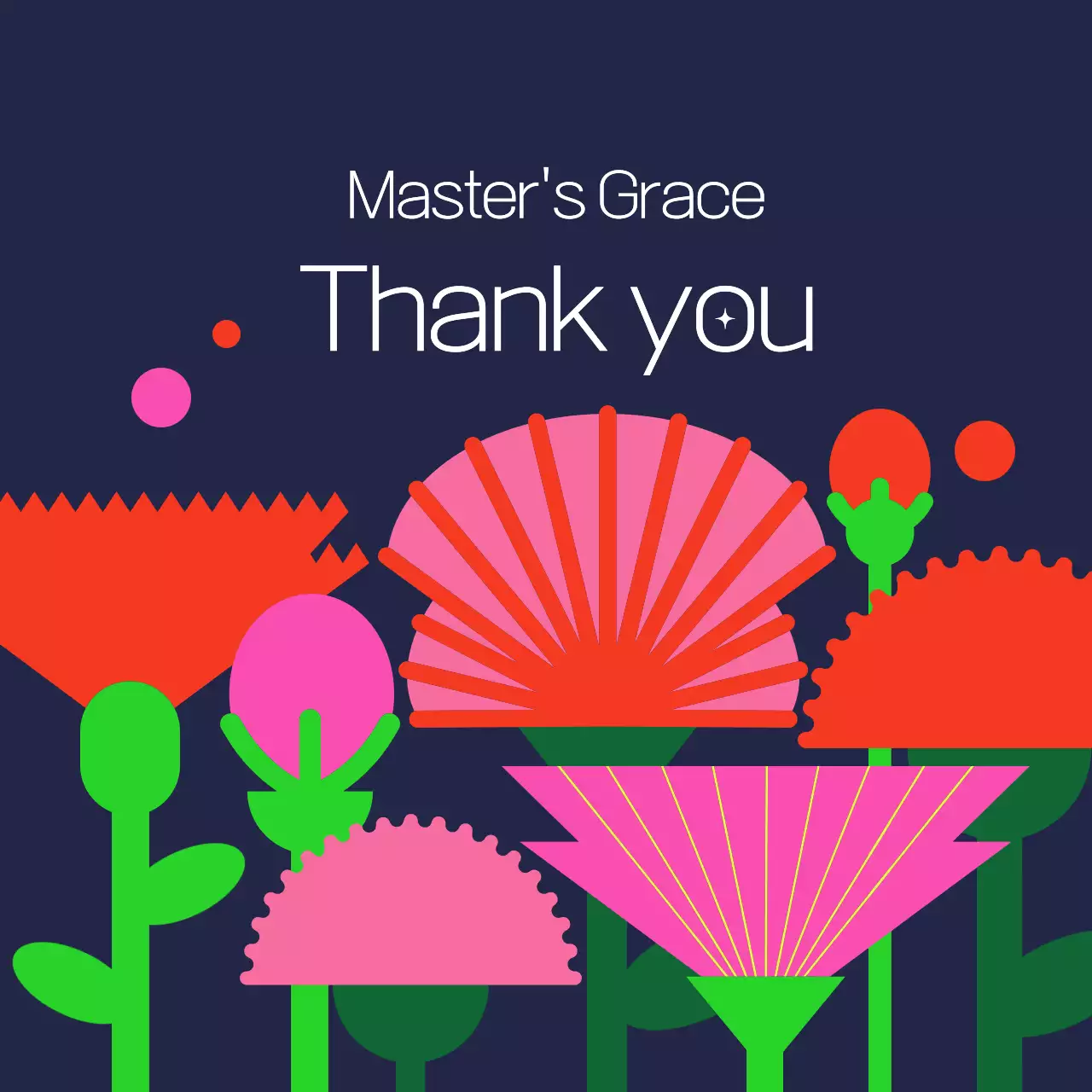 Cánh đồng hoa cẩm chướng ngày nhà giáo trên nền tối