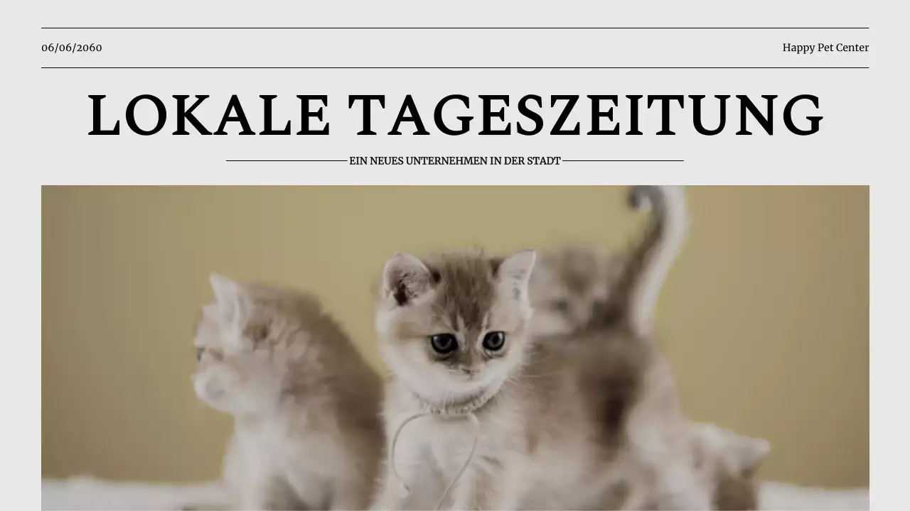 Grey Classic Pet Business Vorstellung des Unternehmens