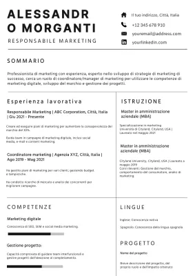 Portafoglio del responsabile marketing semplice in bianco e nero
