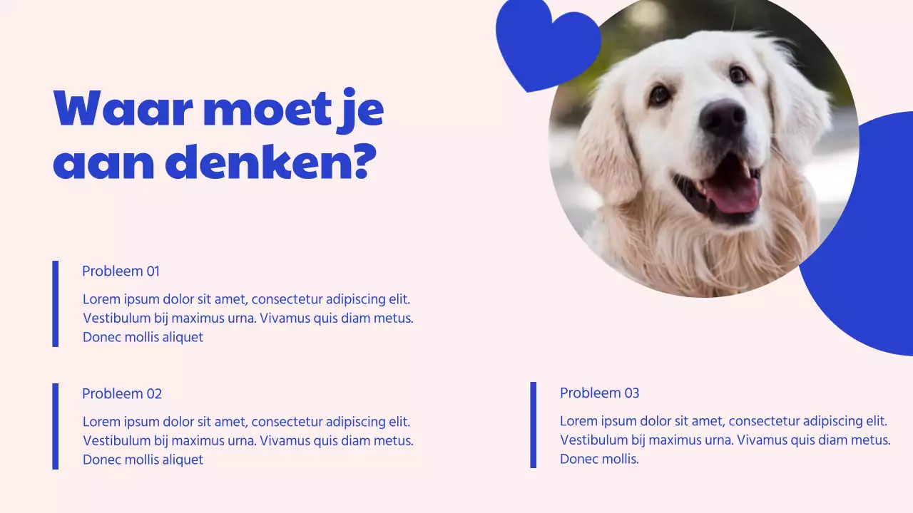 Campagne Blauw en Roze Modern Adoptiecentrum