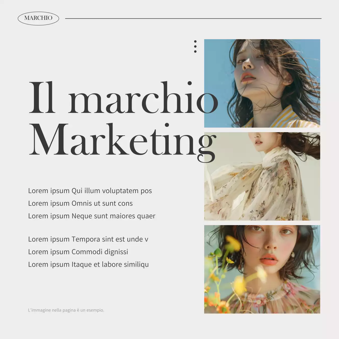 Promuovere la moderna alimentazione a marchio Ivory