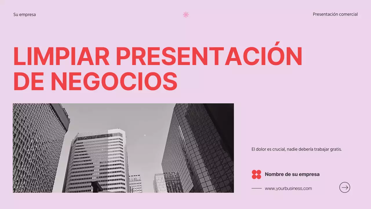 Presentación de la empresa Soft Pink Clean Business