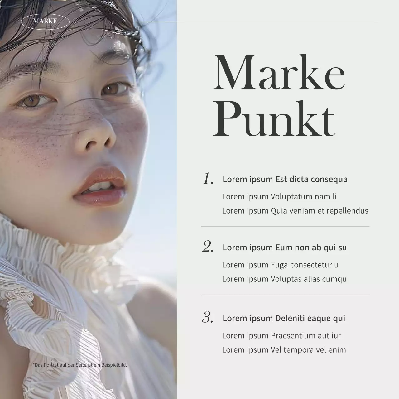 Förderung des modernen Markenfuttermittels von Ivory