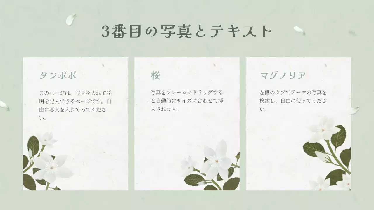 白 シンプル 花 プレゼンテーション