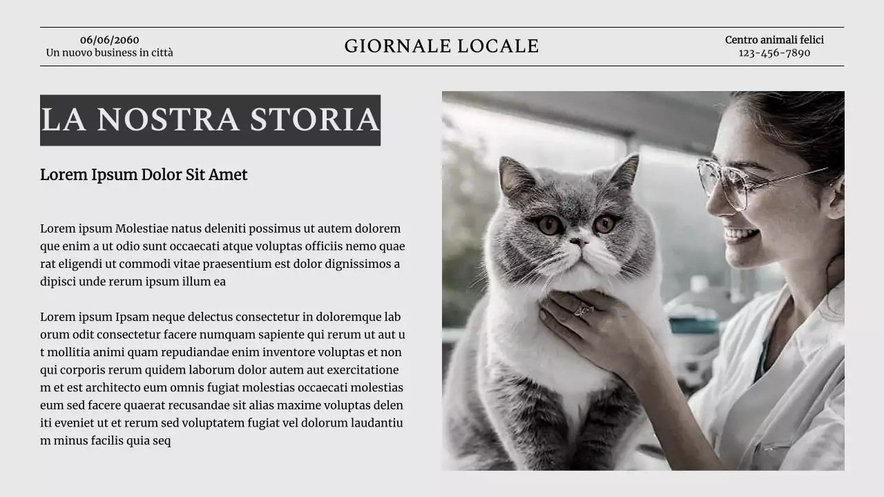 Introduzione dell'azienda Grey Classic Pet Business