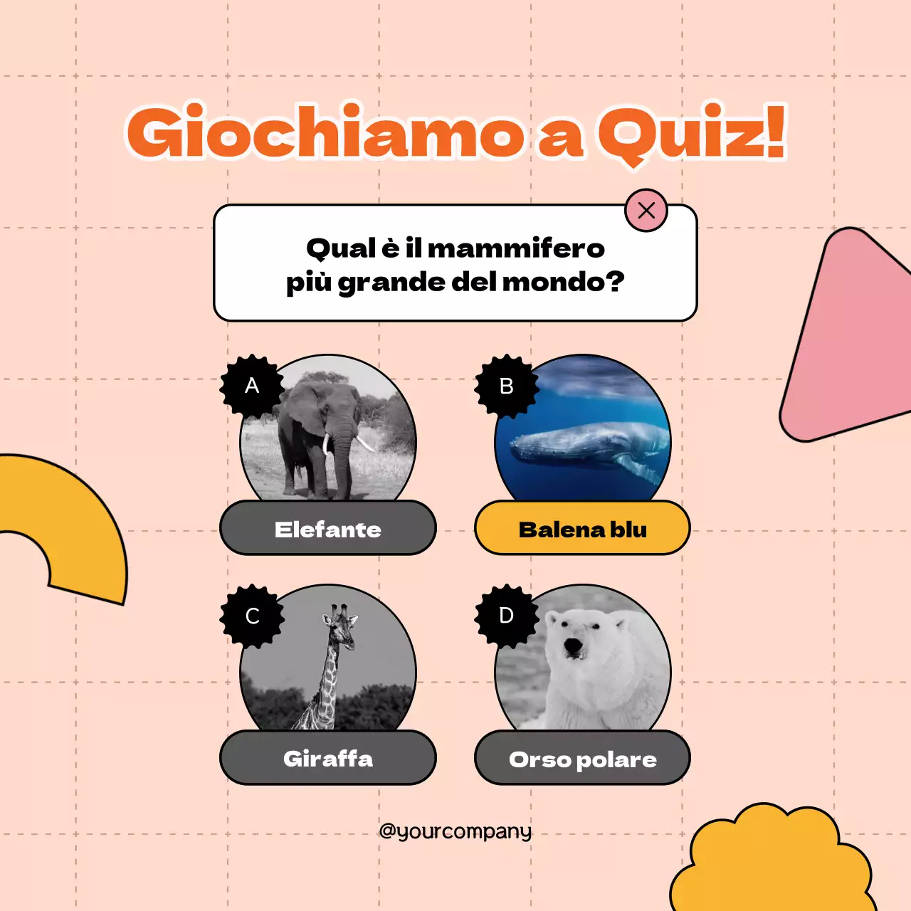 Quiz Trivia semplice arancione Pubblicità