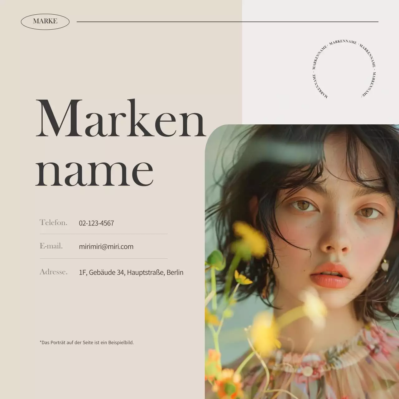 Förderung des modernen Markenfuttermittels von Ivory