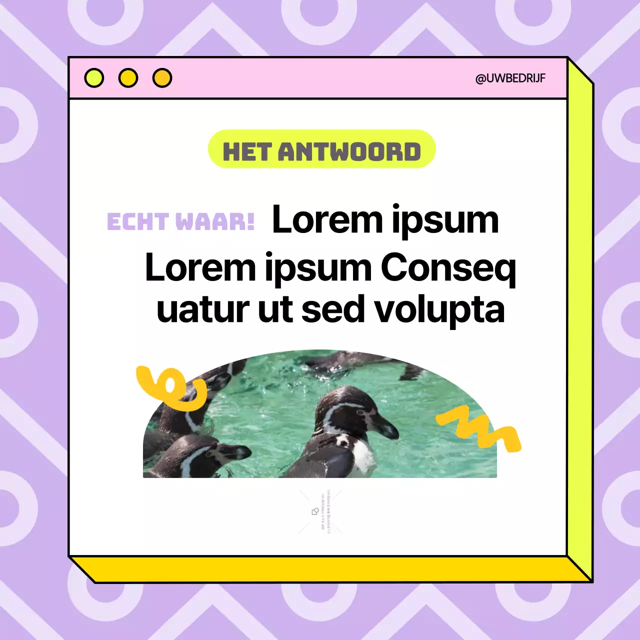 Geel en paars Trend Waar of Onwaar Publiciteit