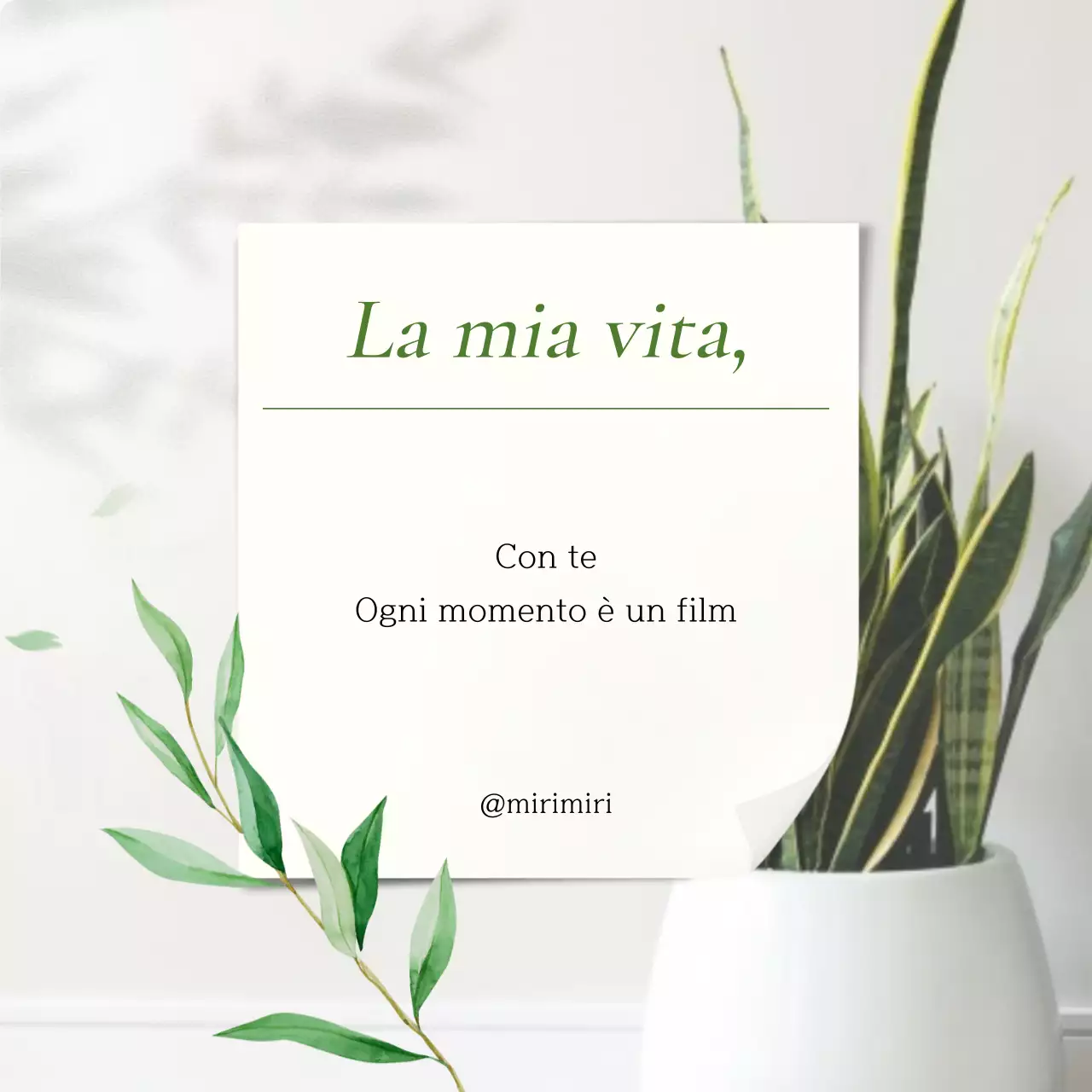 Promuovete una vita confessionale moderna in chartreuse e bianco