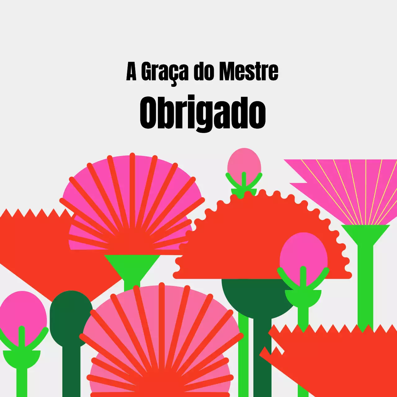 Um campo de cravos do Dia do Professor num fundo brilhante