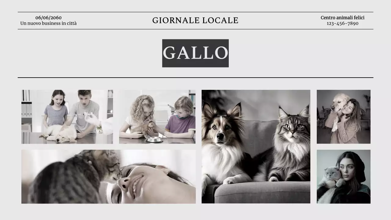 Introduzione dell'azienda Grey Classic Pet Business