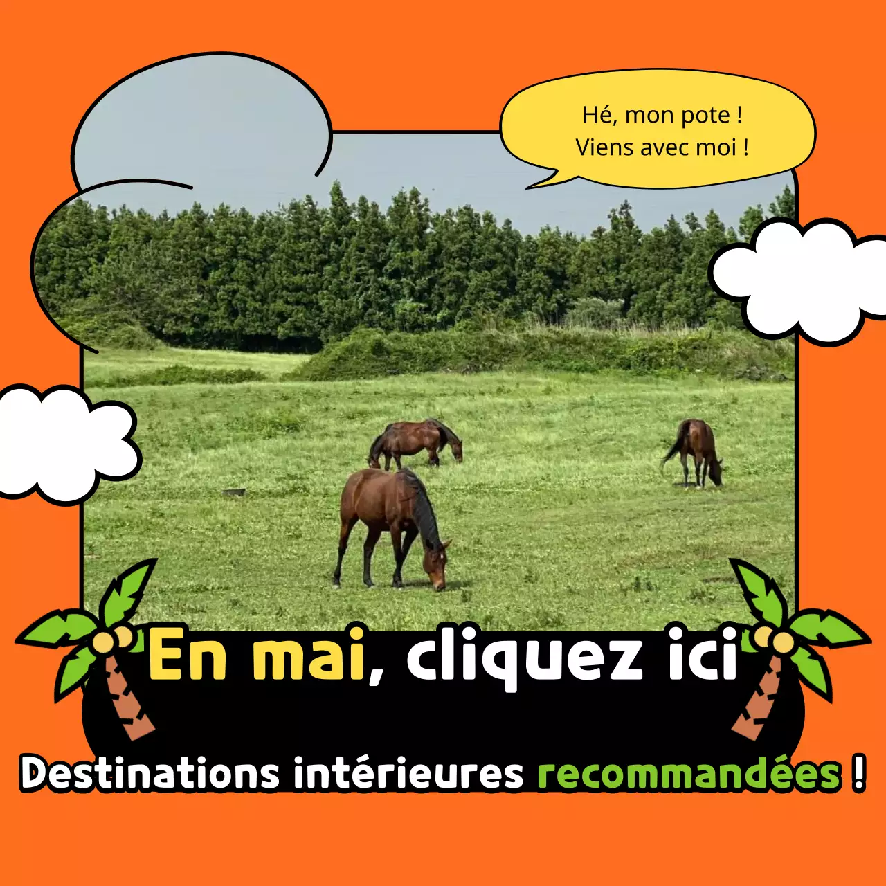 Destinations intérieures orange et vertes à explorer