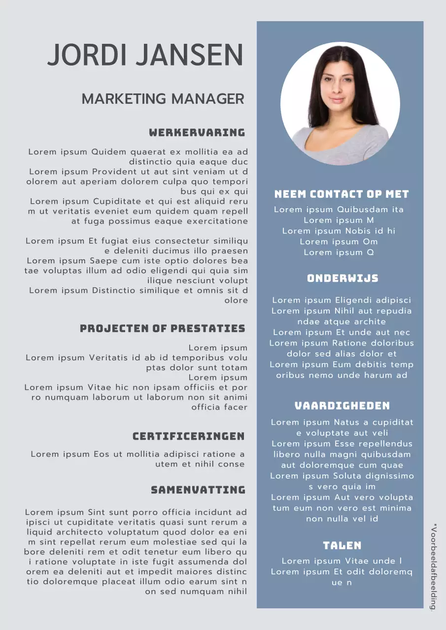 Blauw en grijs Modern Marketing Manager CV Introductie