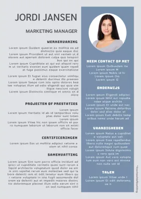 Blauw en grijs Modern Marketing Manager CV Introductie