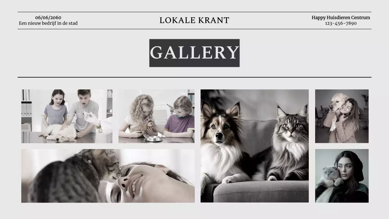 Introductie van Grey Classic Pet Business