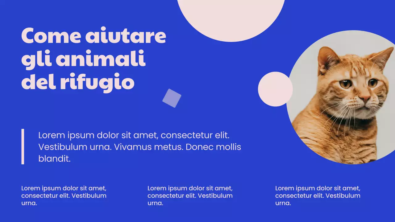 Campagna del Centro adozioni moderne blu e rosa