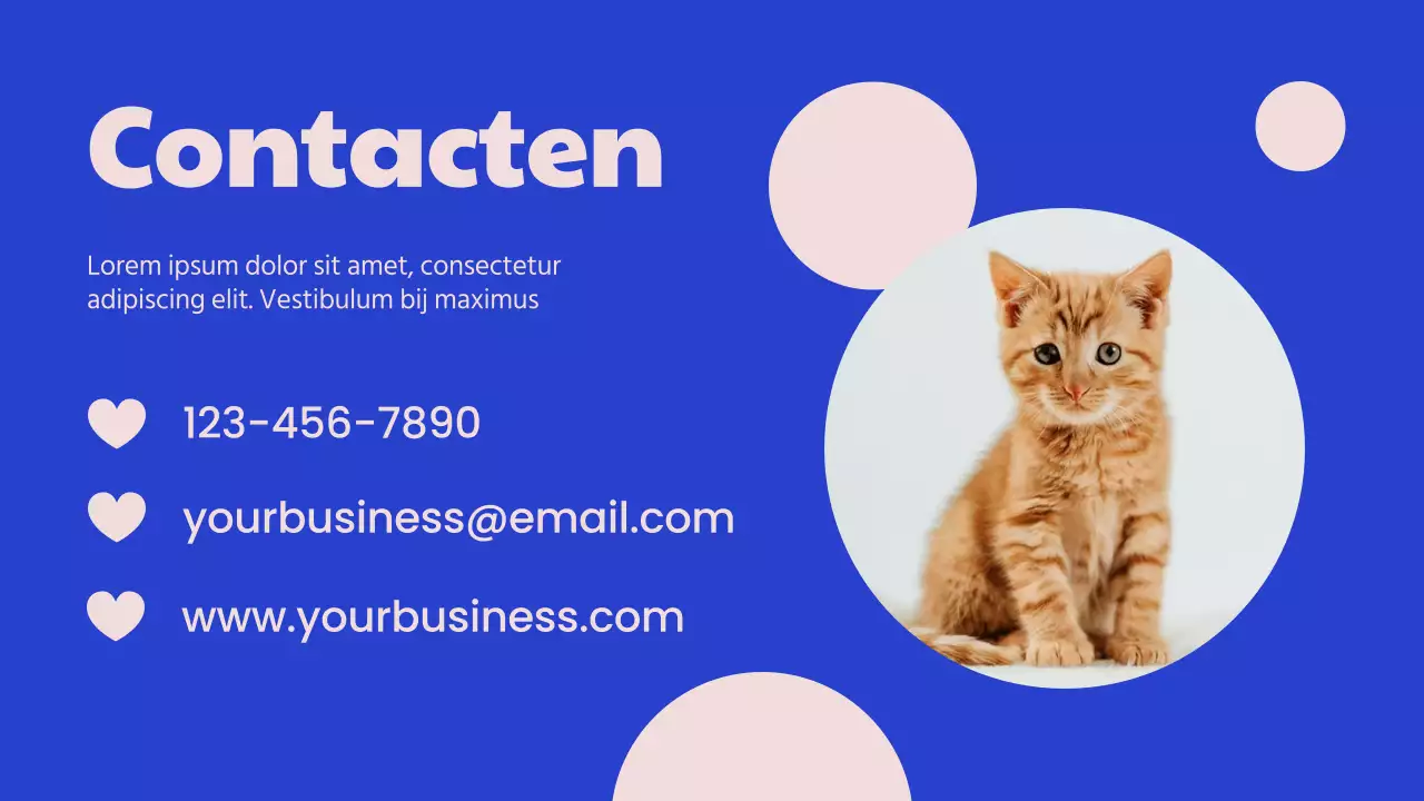 Campagne Blauw en Roze Modern Adoptiecentrum