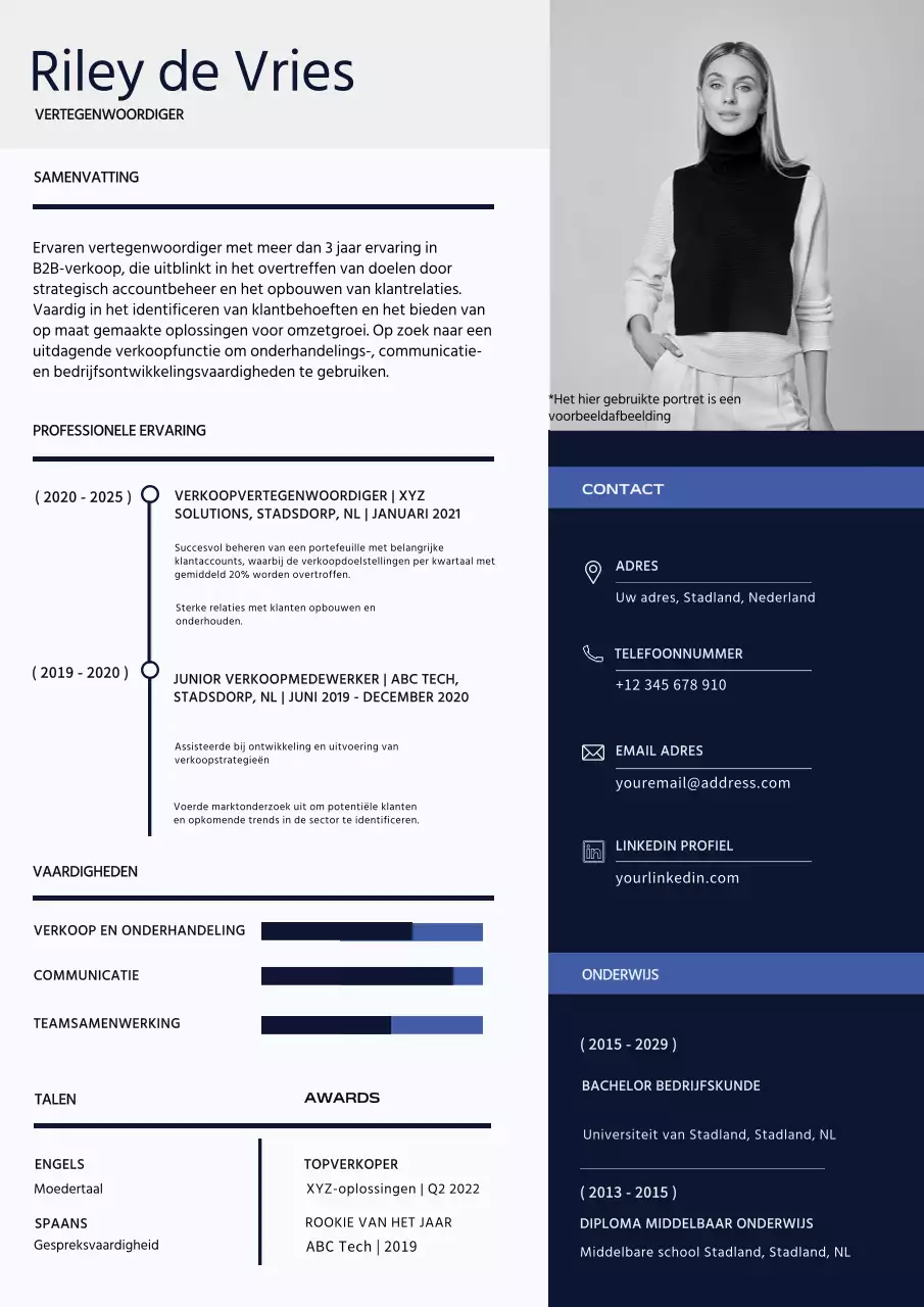 Witte en Blauwe Moderne Verkoopvertegenwoordiger Portfolio