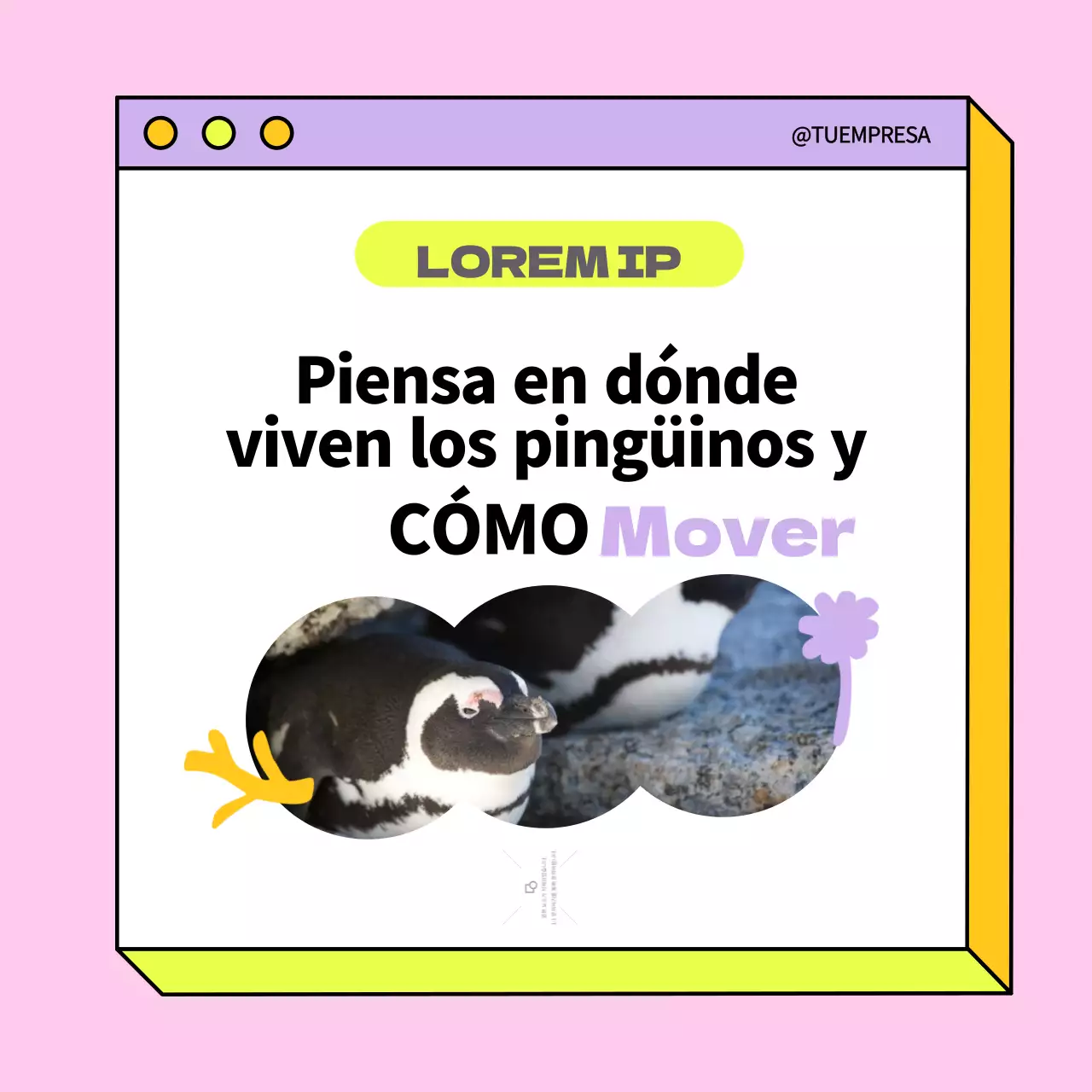 Amarillo y morado Tendencia Publicidad Verdadero o Falso