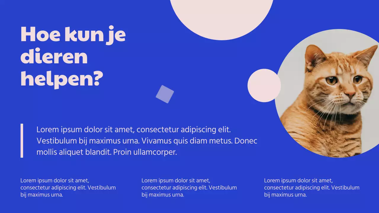 Campagne Blauw en Roze Modern Adoptiecentrum