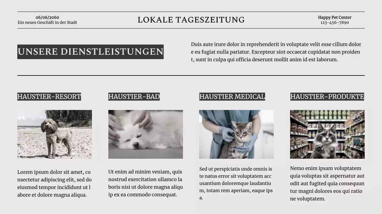 Grey Classic Pet Business Vorstellung des Unternehmens
