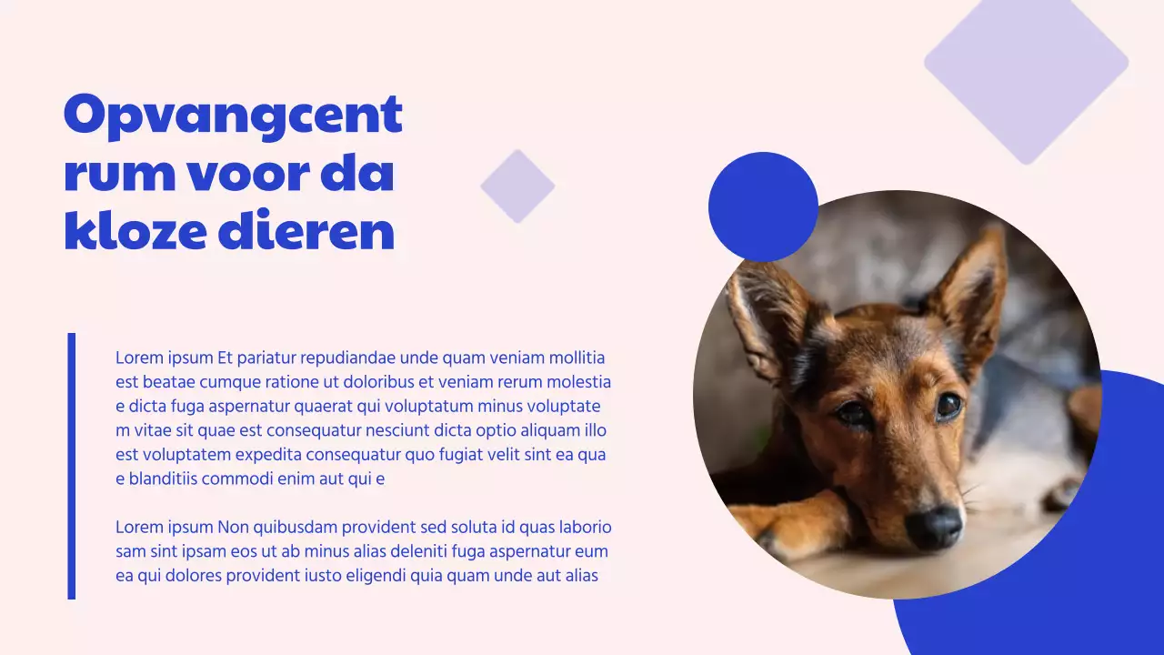 Campagne Blauw en Roze Modern Adoptiecentrum