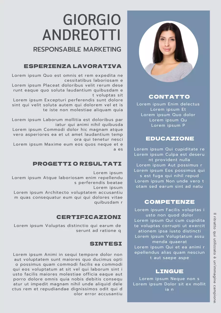 Blu e grigio Moderno curriculum del direttore marketing Introduzione