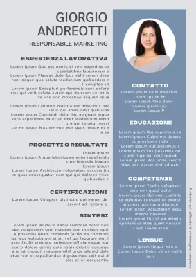 Blu e grigio Moderno curriculum del direttore marketing Introduzione