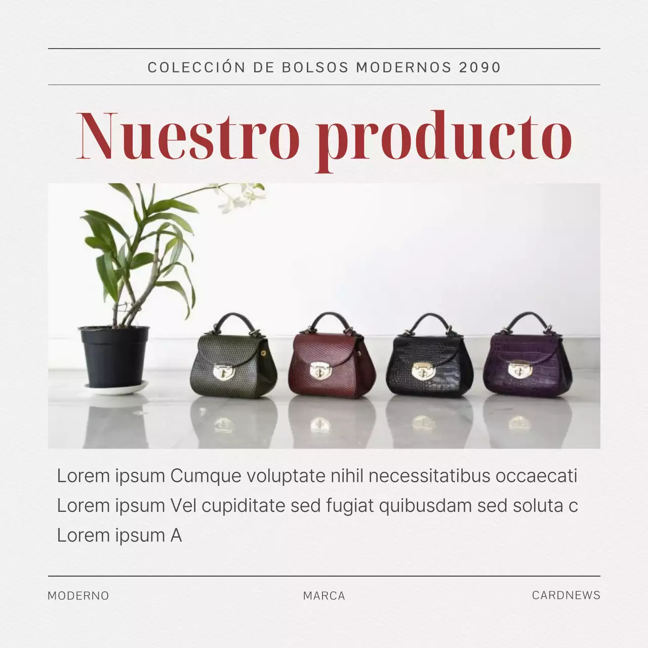 Un briefing de marca para un bolso moderno en rojo, negro y blanco