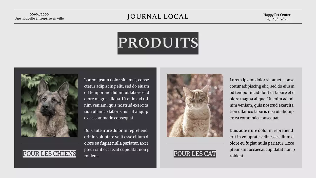 Grey Classic Pet Business Présentation de la société