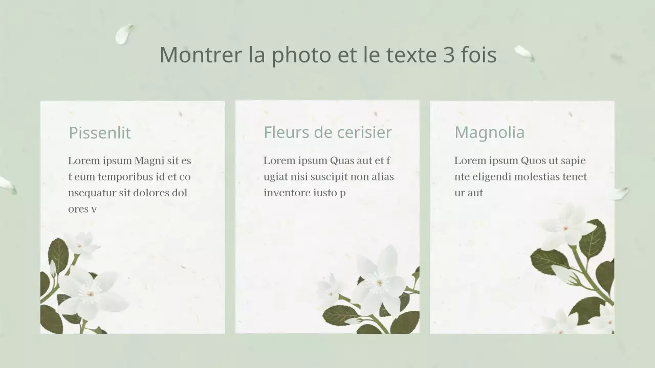 Plan de fleurs blanches orientales pour les plantes annuelles
