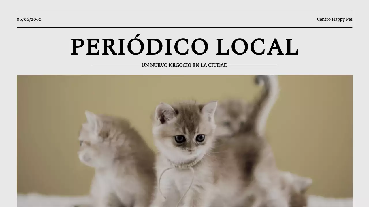 Presentación de la empresa Grey Classic Pet Business