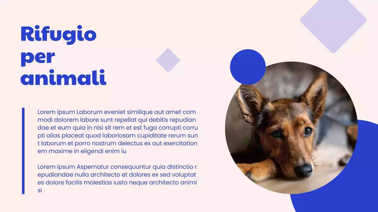 Campagna del Centro adozioni moderne blu e rosa