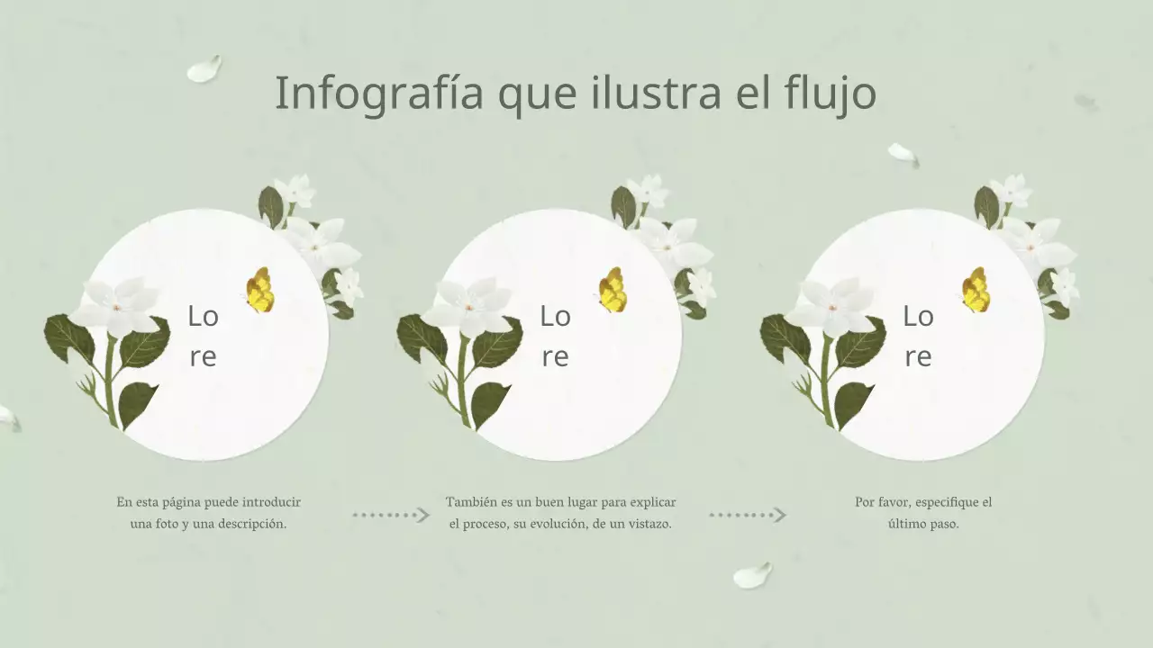 Plan de flores blancas orientales para plantas anuales