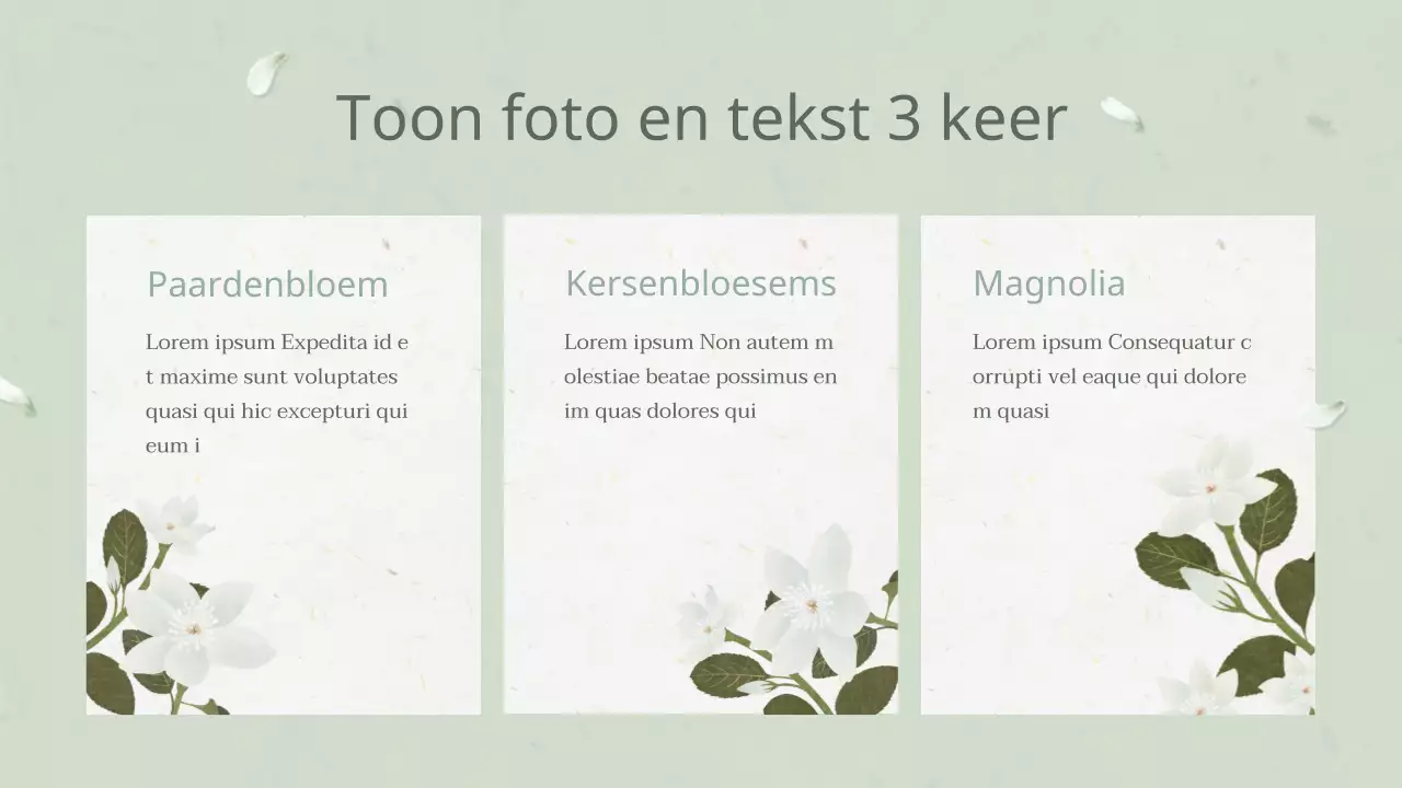 Oriëntaalse witte bloem plan voor eenjarigen