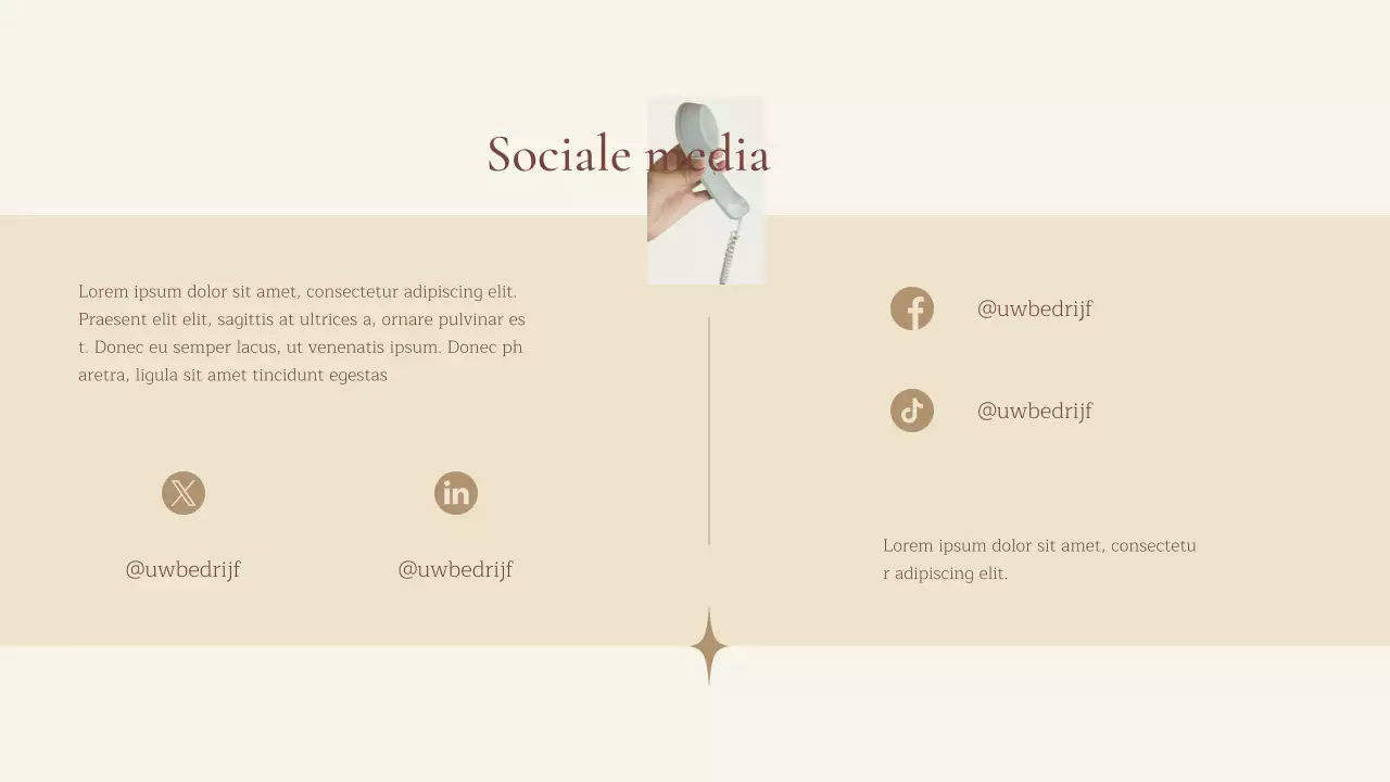 Introductie van het bedrijf Beige Natural