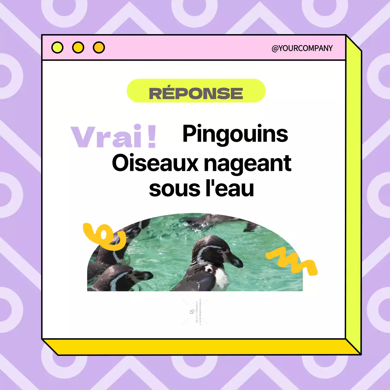 Tendance jaune et violette Publicité vrai ou faux