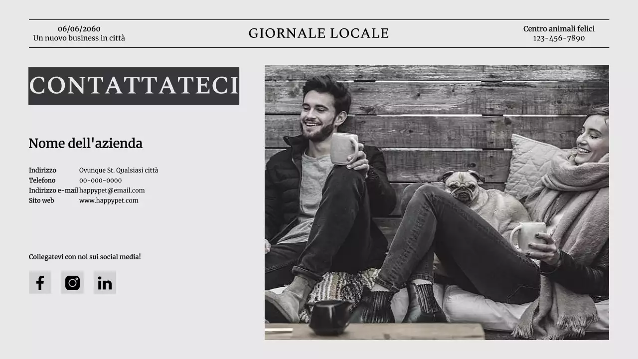 Introduzione dell'azienda Grey Classic Pet Business