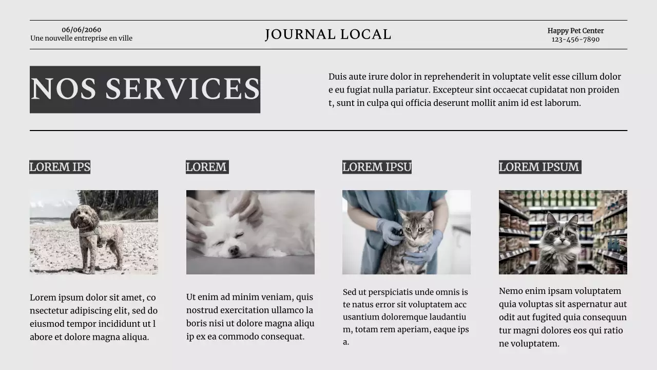 Grey Classic Pet Business Présentation de la société