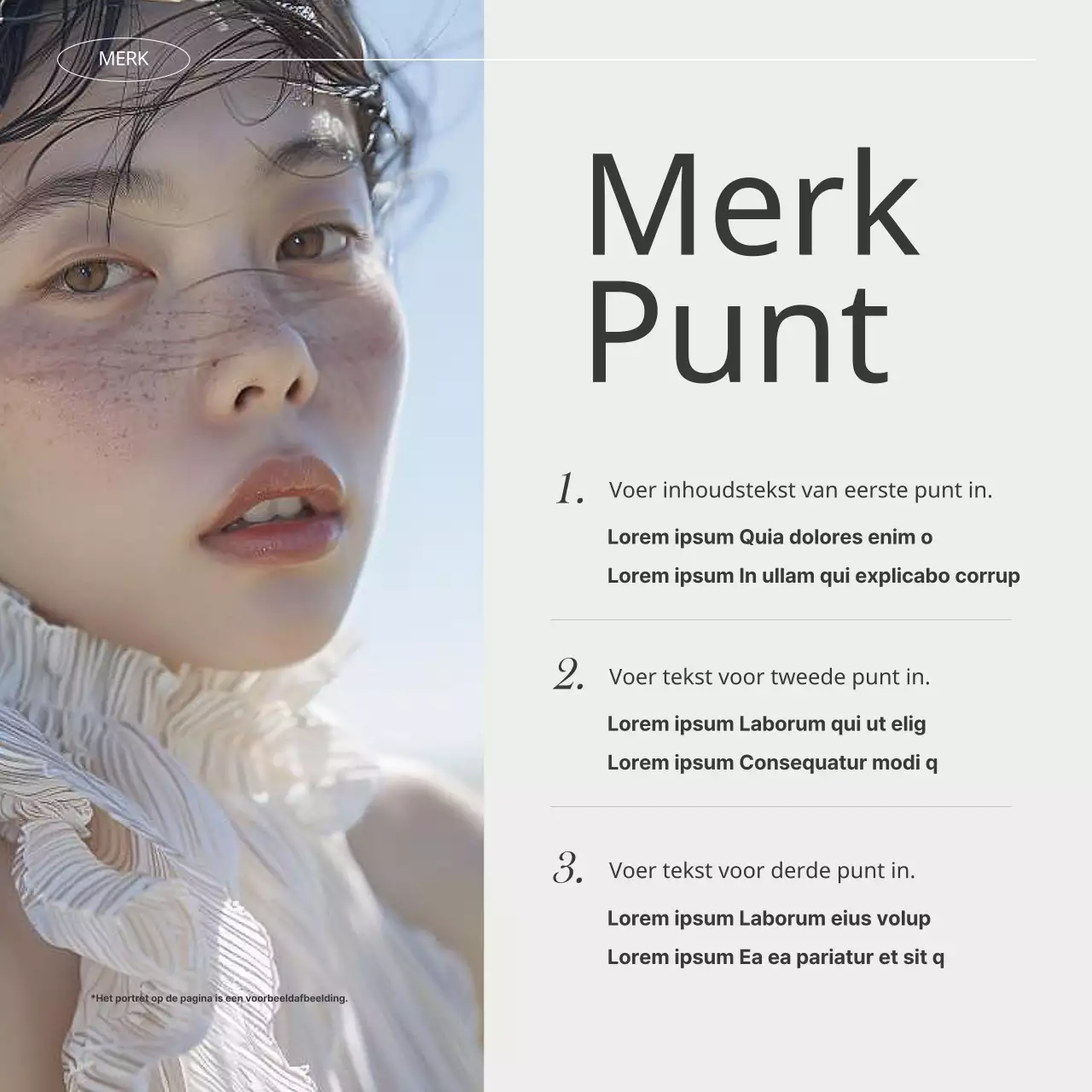 De moderne merkvoeding van Ivory promoten