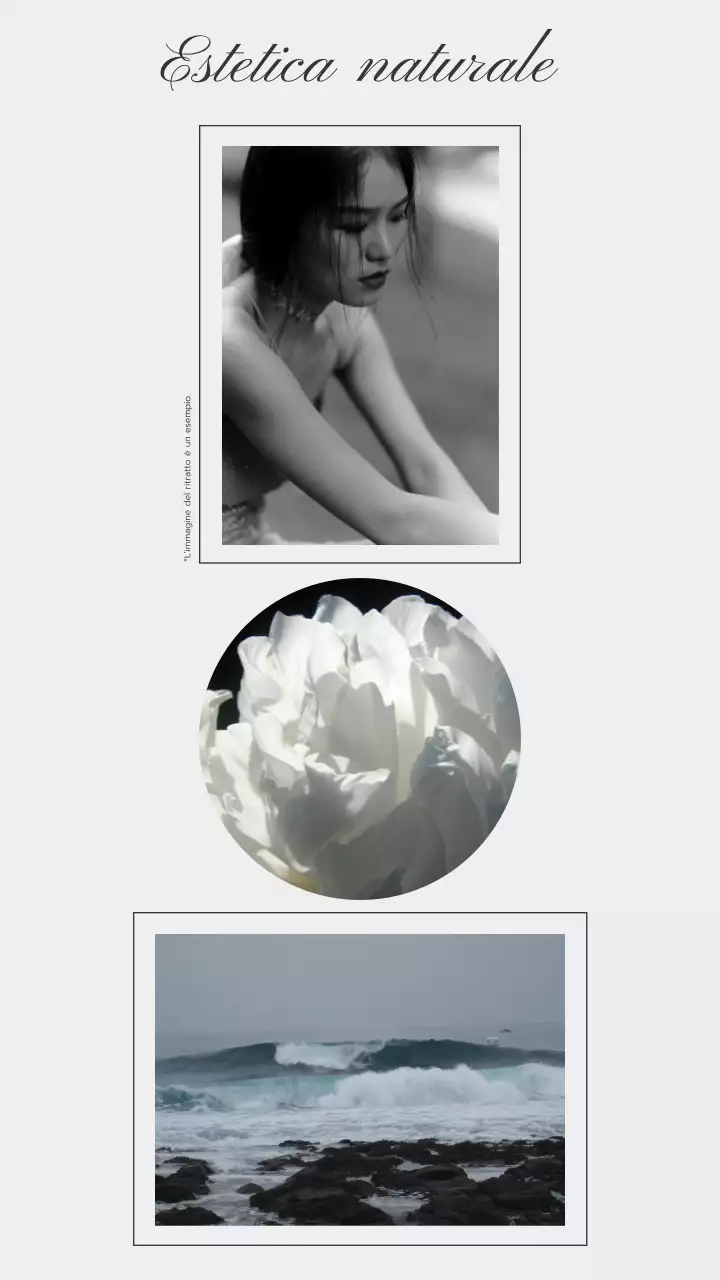 Tendenza beige e grigio Collage di foto Promozione del blog sullo stile di vita