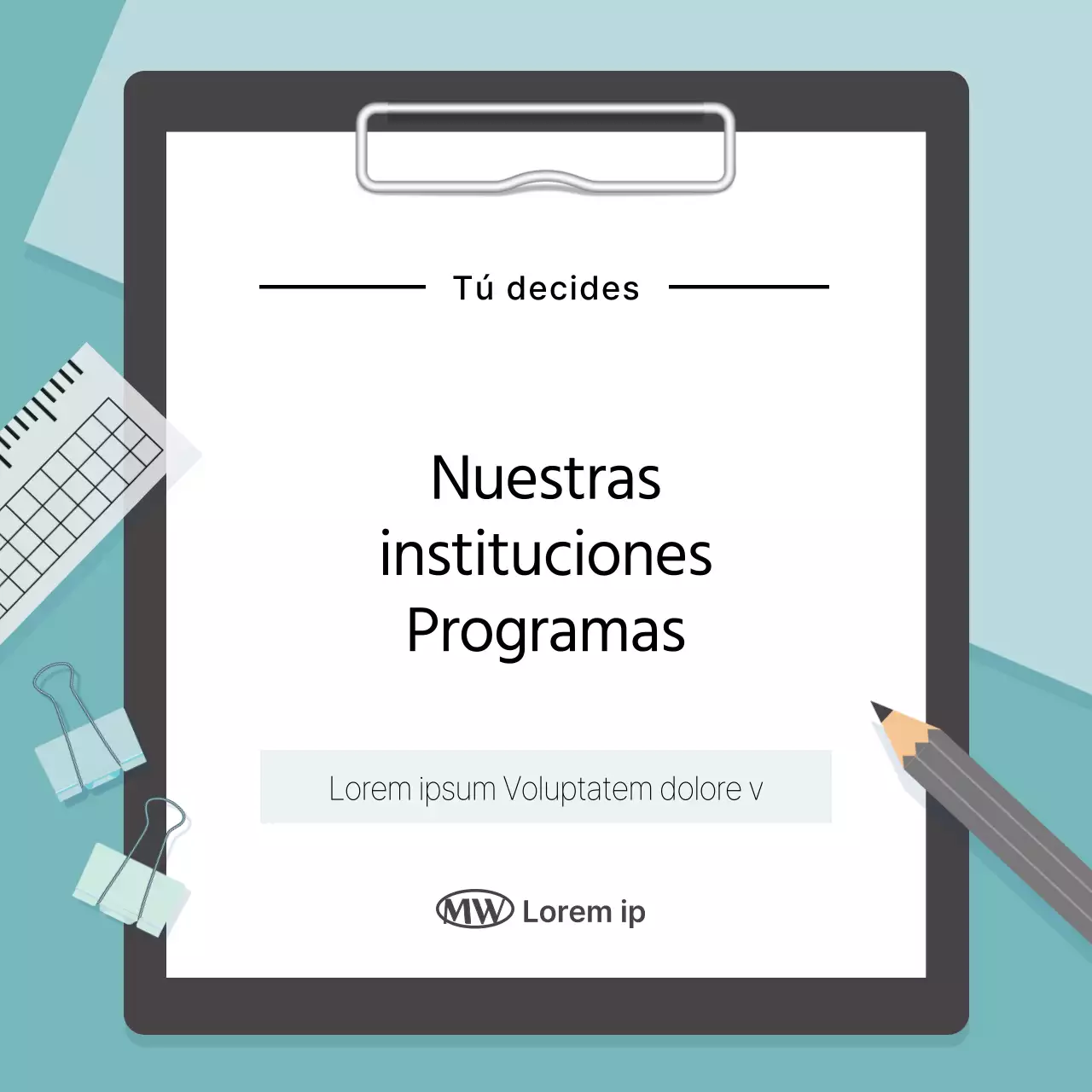 Encuesta sobre programas institucionales modernos en menta y gris
