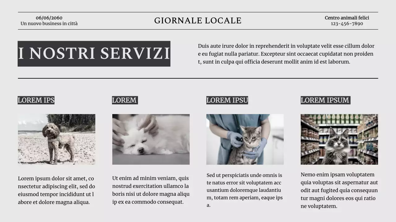 Introduzione dell'azienda Grey Classic Pet Business