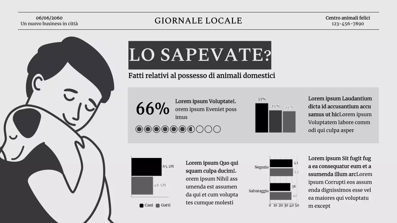 Introduzione dell'azienda Grey Classic Pet Business