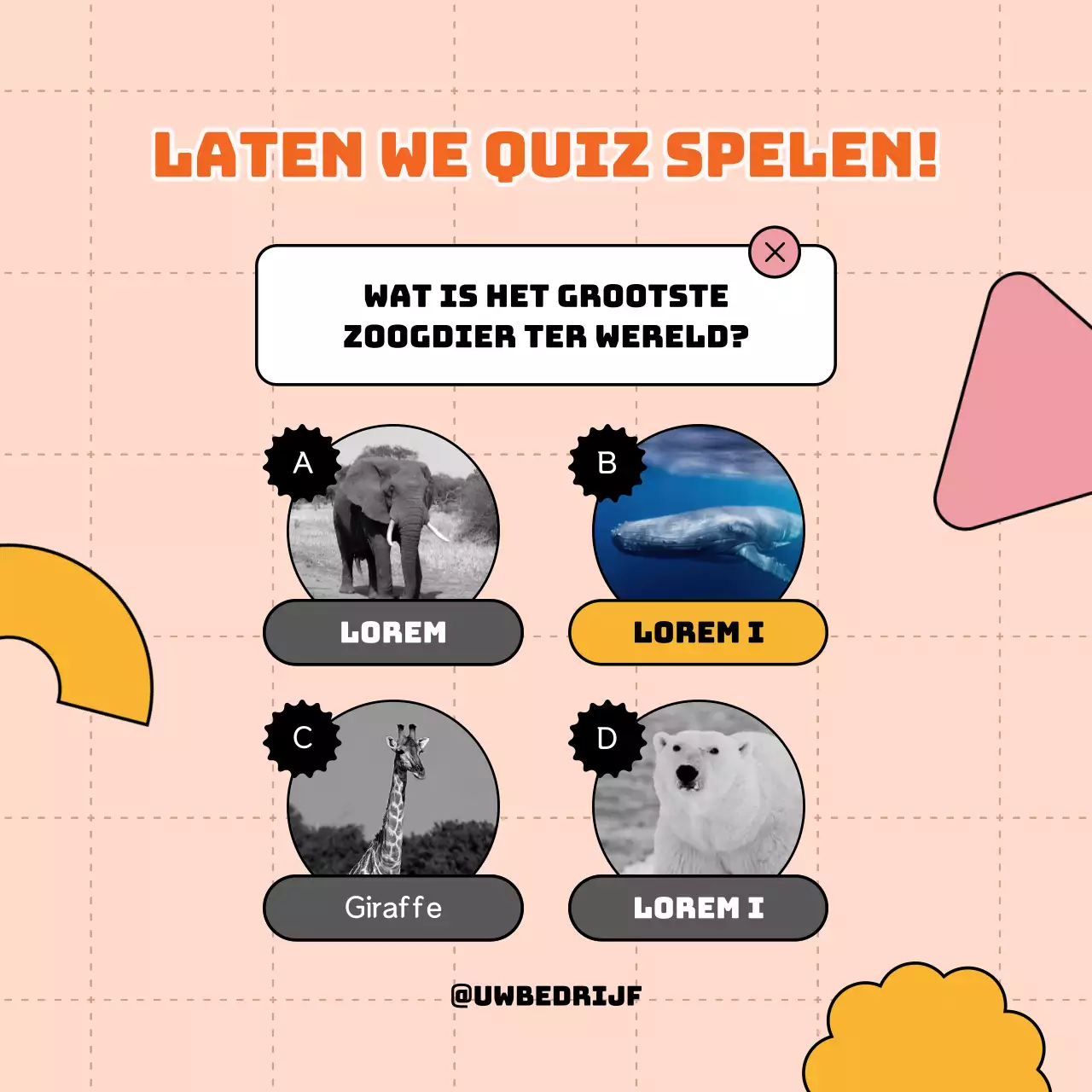 Oranje eenvoudige trivia quiz Publiciteit
