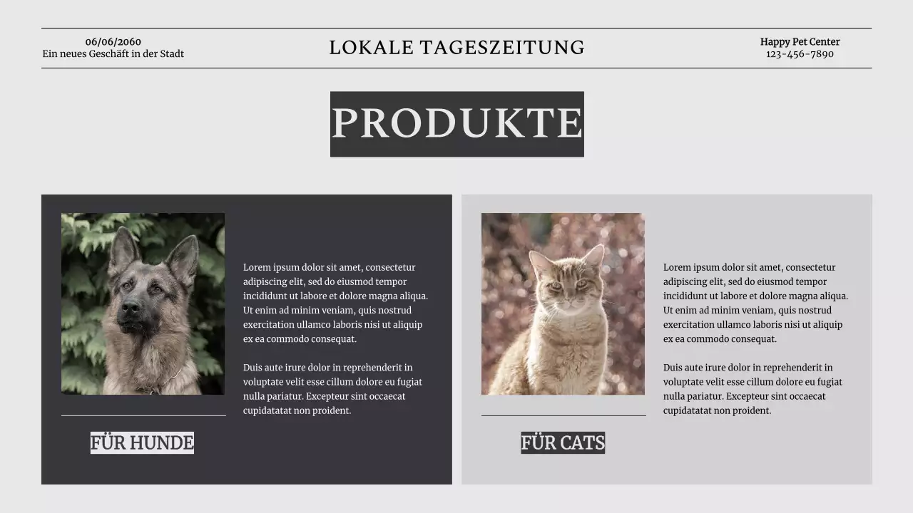 Grey Classic Pet Business Vorstellung des Unternehmens